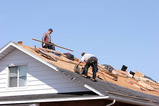Best Roof Leak Repair  in Mirrormont, WA