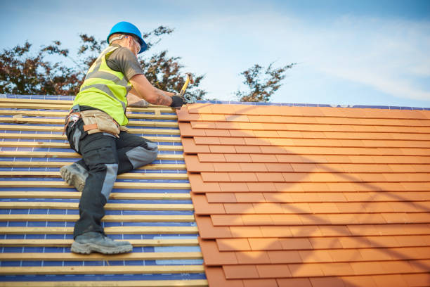 Sheet Metal Roofing in Mirrormont, WA